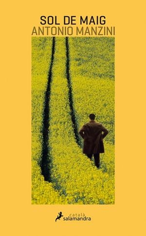 SOL DE MAIG | 9788416310227 | MANZINI, ANTONIO | Galatea Llibres | Llibreria online de Reus, Tarragona | Comprar llibres en català i castellà online