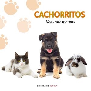 CALENDARIO CACHORRITOS 2018 | 9788448023478 | Galatea Llibres | Librería online de Reus, Tarragona | Comprar libros en catalán y castellano online
