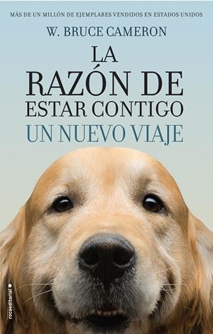 LA RAZóN DE ESTAR CONTIGO. UN NUEVO VIAJE | 9788416867912 | CAMERON, W. BRUCE | Galatea Llibres | Llibreria online de Reus, Tarragona | Comprar llibres en català i castellà online