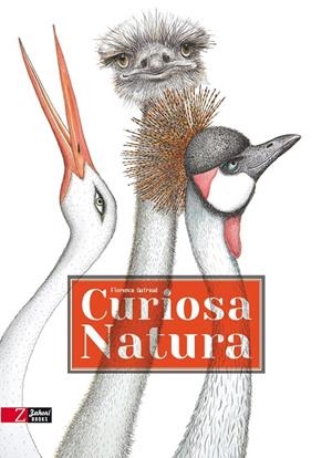 CURIOSA NATURA | 9788494713538 | GUIRAUD, FLORENCE | Galatea Llibres | Librería online de Reus, Tarragona | Comprar libros en catalán y castellano online