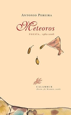 METEOROS | 9788496049871 | PEREIRA, ANTONIO | Galatea Llibres | Librería online de Reus, Tarragona | Comprar libros en catalán y castellano online