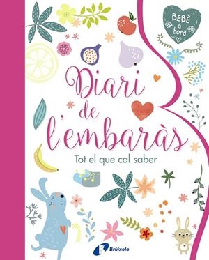 DIARI DE L'EMBARAS  TOT EL QUE CAL SABER | 9788499067797 | Galatea Llibres | Librería online de Reus, Tarragona | Comprar libros en catalán y castellano online
