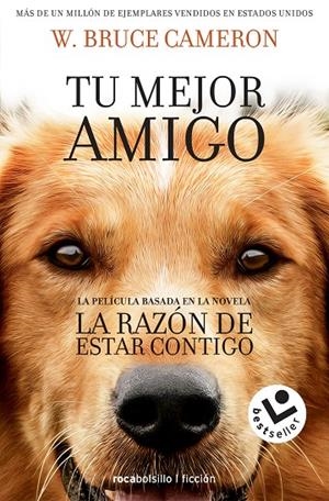 LA RAZóN DE ESTAR CONTIGO | 9788416240920 | CAMERON, W. BRUCE | Galatea Llibres | Llibreria online de Reus, Tarragona | Comprar llibres en català i castellà online