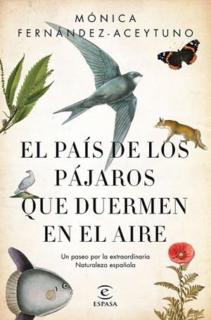 EL PAíS DE LOS PáJAROS QUE DUERMEN EN EL AIRE | 9788467051469 | FERNÁNDEZ-ACEYTUNO, MÓNICA | Galatea Llibres | Llibreria online de Reus, Tarragona | Comprar llibres en català i castellà online