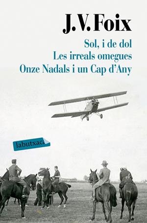 SOL, I DE DOL. LES IRREALS OMEGUES. ONZE NADALS I UN CAP D'ANY | 9788417031626 | FOIX I MAS, J. V. | Galatea Llibres | Llibreria online de Reus, Tarragona | Comprar llibres en català i castellà online