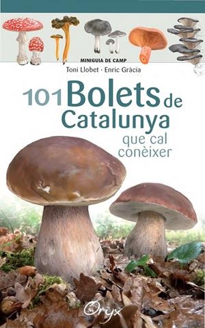 101 BOLETS DE CATALUNYA QUE CAL CONÈIXER (MINIGUIA DE CAMP) | 9788490347096 | LLOBET FRANçOIS, TONI/GRàCIA, ENRIC | Galatea Llibres | Librería online de Reus, Tarragona | Comprar libros en catalán y castellano online