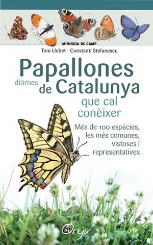 PAPALLONES DIÜRNES DE CATALUNYA QUE CAL CONÈIXER (MINIGUIES DE CAMP) | 9788490346754 | LLOBET FRANçOIS, TONI/STEFANESCU, CONSTANTí | Galatea Llibres | Librería online de Reus, Tarragona | Comprar libros en catalán y castellano online
