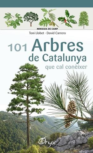 101 ARBRES DE CATALUNYA QUE CAL CONÈIXER (MINIGUIES DE CAMP) | 9788490346778 | LLOBET FRANçOIS, TONI/CARRERA BONET, DAVID | Galatea Llibres | Librería online de Reus, Tarragona | Comprar libros en catalán y castellano online