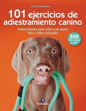 101 EJERCICIOS DE ENTRENAMIENTO CANINO | 9788499107332 | SUNDANCE, KYRA | Galatea Llibres | Llibreria online de Reus, Tarragona | Comprar llibres en català i castellà online