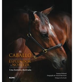 EL CABALLO. ESPLENDOR Y NOBLEZA | 9788417254445 | PICKERAL, TAMSIN/HARRISSON, ASTRID | Galatea Llibres | Llibreria online de Reus, Tarragona | Comprar llibres en català i castellà online