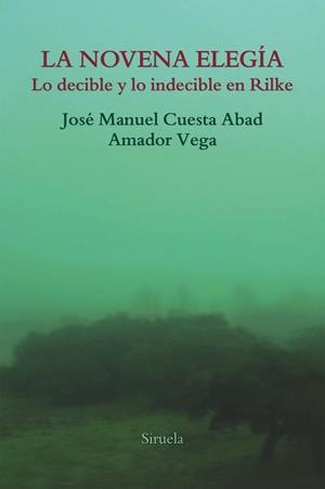 LA NOVENA ELEGíA | 9788417151997 | VEGA, AMADOR/CUESTA ABAD, JOSé MANUEL | Galatea Llibres | Llibreria online de Reus, Tarragona | Comprar llibres en català i castellà online