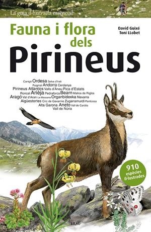 FAUNA I FLORA DELS PIRINEUS | 9788415885559 | GUIXé COROMINES, DAVID | Galatea Llibres | Llibreria online de Reus, Tarragona | Comprar llibres en català i castellà online