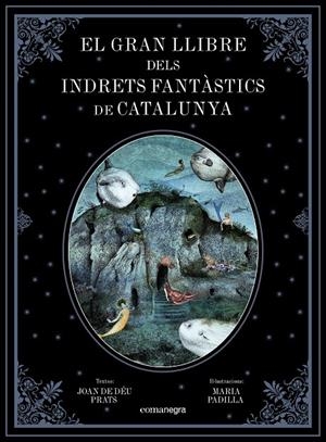 EL GRAN LLIBRE DELS INDRETS FANTàSTICS DE CATALUNYA | 9788417188344 | PRATS PIJOAN, JOAN DE DéU/PADILLA CLIMENT, MARIA | Galatea Llibres | Llibreria online de Reus, Tarragona | Comprar llibres en català i castellà online