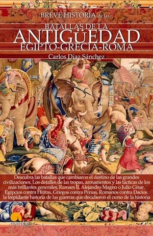 BREVE HISTORIA DE LAS BATALLAS DE LA ANTIGüEDAD | 9788499679228 | DíAZ SáNCHEZ, CARLOS | Galatea Llibres | Llibreria online de Reus, Tarragona | Comprar llibres en català i castellà online