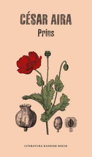PRINS | 9788439734352 | AIRA, CESAR | Galatea Llibres | Librería online de Reus, Tarragona | Comprar libros en catalán y castellano online
