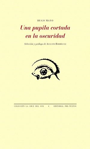 UNA PUPILA CORTADA EN LA OSCURIDAD | 9788417143459 | MAYO, HUGO | Galatea Llibres | Llibreria online de Reus, Tarragona | Comprar llibres en català i castellà online