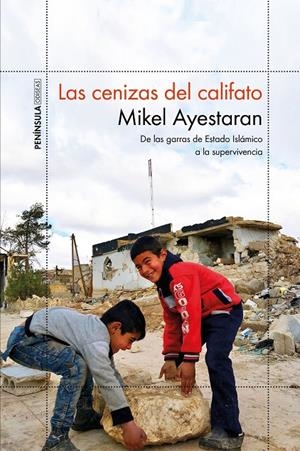 LAS CENIZAS DEL CALIFATO | 9788499427065 | AYESTARAN, MIKEL | Galatea Llibres | Llibreria online de Reus, Tarragona | Comprar llibres en català i castellà online
