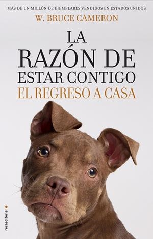 LA RAZÓN DE ESTAR CONTIGO. EL REGRESO A CASA | 9788417092887 | CAMERON, W. BRUCE | Galatea Llibres | Llibreria online de Reus, Tarragona | Comprar llibres en català i castellà online