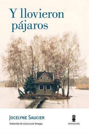 Y LLOVIERON PAJAROS | 9788494834813 | LUCUIX, LUISA | Galatea Llibres | Llibreria online de Reus, Tarragona | Comprar llibres en català i castellà online