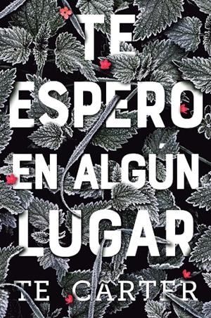TE ESPERO EN ALGÚN LUGAR | 9788494811319 | CARTER, T.E. | Galatea Llibres | Librería online de Reus, Tarragona | Comprar libros en catalán y castellano online