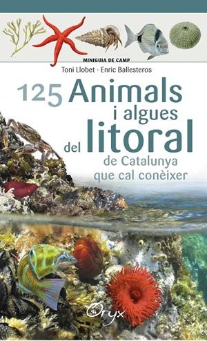 125 ANIMALS I ALGUES DEL LITORAL DE CATALUNYA | 9788490347416 | BALLESTEROS, ENRIC | Galatea Llibres | Librería online de Reus, Tarragona | Comprar libros en catalán y castellano online