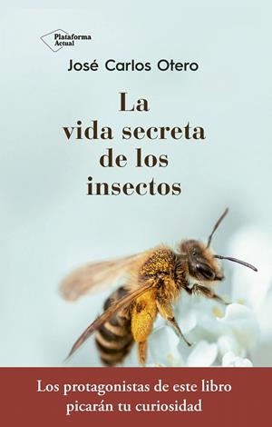 LA VIDA SECRETA DE LOS INSECTOS | 9788417376789 | OTERO GONZÁLEZ, JOSÉ CARLOS | Galatea Llibres | Librería online de Reus, Tarragona | Comprar libros en catalán y castellano online