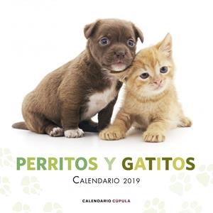 CALENDARIO 2019 PERRITOS Y GATITOS | 9788448024666 | Galatea Llibres | Librería online de Reus, Tarragona | Comprar libros en catalán y castellano online