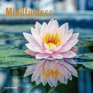 CALENDARIO 2019 MINDFULNESS | 9788448024598 | Galatea Llibres | Librería online de Reus, Tarragona | Comprar libros en catalán y castellano online