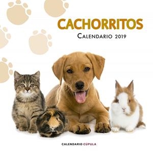 CALENDARIO 2019 CACHORRITOS | 9788448024673 | Galatea Llibres | Librería online de Reus, Tarragona | Comprar libros en catalán y castellano online