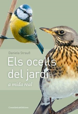 ELS OCELLS DEL JARDÍ A MIDA REAL | 9788490347461 | STRAUSS, DANIELA | Galatea Llibres | Librería online de Reus, Tarragona | Comprar libros en catalán y castellano online