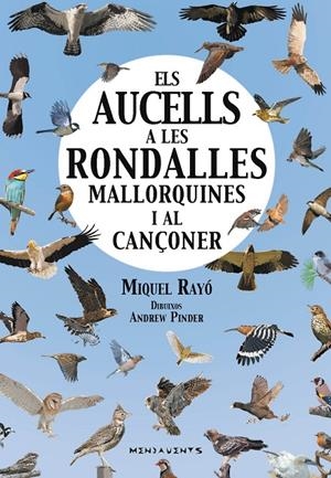 ELS AUCELLS A LES RONDALLES MALLORQUINES I AL CANÇONER | 9788417113223 | RAYÓ I FERRER, MIQUEL | Galatea Llibres | Llibreria online de Reus, Tarragona | Comprar llibres en català i castellà online