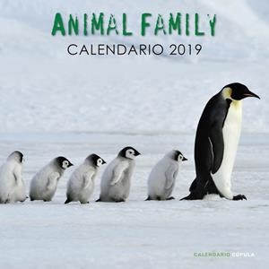 CALENDARIO ANIMAL FAMILY 2019 | 9788448024703 | AA. VV. | Galatea Llibres | Librería online de Reus, Tarragona | Comprar libros en catalán y castellano online
