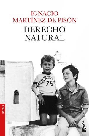DERECHO NATURAL | 9788432234279 | MARTÍNEZ DE PISÓN, IGNACIO | Galatea Llibres | Llibreria online de Reus, Tarragona | Comprar llibres en català i castellà online