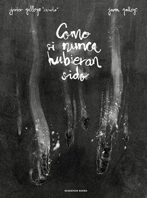 COMO SI NUNCA HUBIERAN SIDO | 9788417511036 | GALLEGO, JAVIER/GALLEGO, JUAN | Galatea Llibres | Llibreria online de Reus, Tarragona | Comprar llibres en català i castellà online