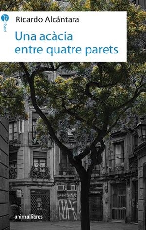 UNA ACÀCIA ENTRE QUATRE PARETS | 9788417599010 | ALCÁNTARA, RICARDO | Galatea Llibres | Llibreria online de Reus, Tarragona | Comprar llibres en català i castellà online