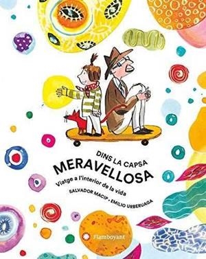 DINS LA CAPSA MERAVELLOSA | 9788494883224 | MACIP, SALVADOR | Galatea Llibres | Llibreria online de Reus, Tarragona | Comprar llibres en català i castellà online