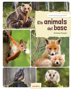 ELS ANIMALS DEL BOSC | 9788417599027 | POMPEÏ, CHRISTINE | Galatea Llibres | Librería online de Reus, Tarragona | Comprar libros en catalán y castellano online