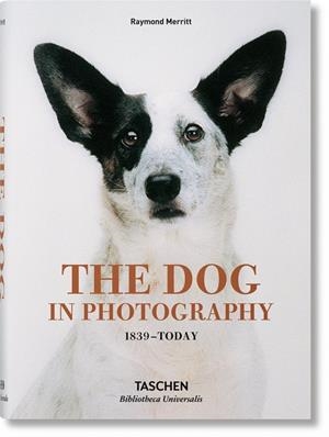 THE DOG IN PHOTOGRAPHY 1839-TODAY | 9783836567473 | Galatea Llibres | Librería online de Reus, Tarragona | Comprar libros en catalán y castellano online