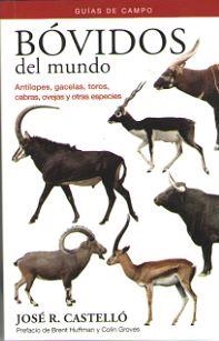 BOVIDOS DEL MUNDO. GUIAS DE CAMPO | 9788428216838 | CASTELLO, JOSE | Galatea Llibres | Llibreria online de Reus, Tarragona | Comprar llibres en català i castellà online