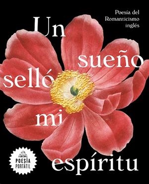 UN SUEÑO SELLÓ MI ESPÍRITU | 9788439735328 | Galatea Llibres | Llibreria online de Reus, Tarragona | Comprar llibres en català i castellà online