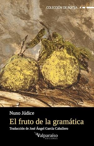 FRUTO DE LA GRAMATICA, EL | 9788494357718 | JUDICE, NUNO | Galatea Llibres | Librería online de Reus, Tarragona | Comprar libros en catalán y castellano online