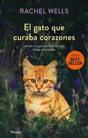 EL GATO QUE CURABA CORAZONES -T. BLANDA- | 9788417128173 | WELLS, RAQUEL | Galatea Llibres | Llibreria online de Reus, Tarragona | Comprar llibres en català i castellà online