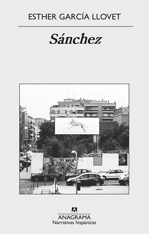 SÁNCHEZ | 9788433998675 | GARCÍA LLOVET, ESTHER | Galatea Llibres | Librería online de Reus, Tarragona | Comprar libros en catalán y castellano online