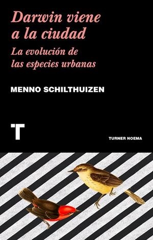 DARWIN VIENE A LA CIUDAD | 9788417141752 | SCHILTHUIZEN, MENNO | Galatea Llibres | Llibreria online de Reus, Tarragona | Comprar llibres en català i castellà online