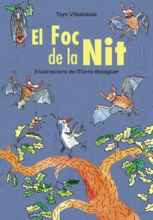 EL FOC DE LA NIT | 9788448947118 | VILLALOBOS, TONI | Galatea Llibres | Llibreria online de Reus, Tarragona | Comprar llibres en català i castellà online