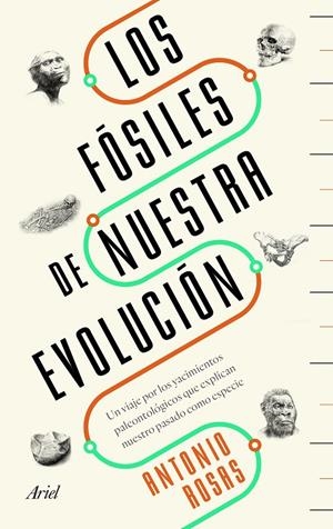 LOS FÓSILES DE NUESTRA EVOLUCIÓN | 9788434429642 | ROSAS, ANTONIO | Galatea Llibres | Librería online de Reus, Tarragona | Comprar libros en catalán y castellano online