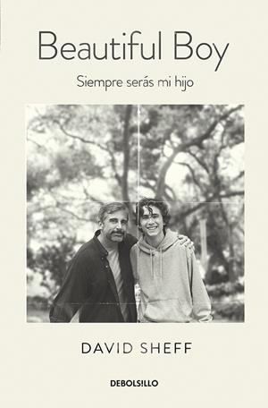 MI HIJO PRECIOSO (BEAUTIFUL BOY) | 9788466349208 | SHEFF, DAVID | Galatea Llibres | Llibreria online de Reus, Tarragona | Comprar llibres en català i castellà online
