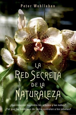 LA RED SECRETA DE LA NATURALEZA | 9788491114192 | WOHLLEBEN, PETER | Galatea Llibres | Librería online de Reus, Tarragona | Comprar libros en catalán y castellano online