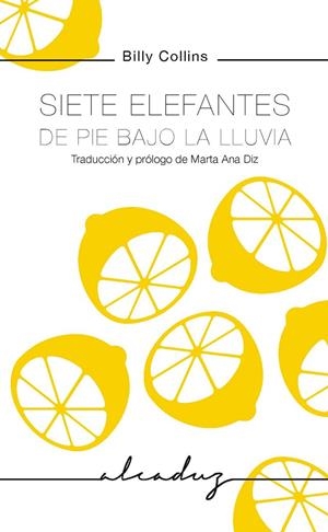 SIETE ELEFANTES DE PIE BAJO LA LLUVIA | 9788494943225 | COLLINS, BILLY | Galatea Llibres | Librería online de Reus, Tarragona | Comprar libros en catalán y castellano online