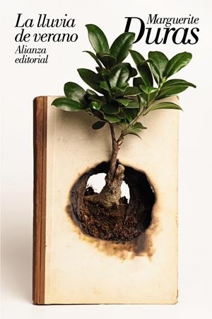 LA LLUVIA DE VERANO | 9788491814962 | DURAS, MARGUERITE | Galatea Llibres | Llibreria online de Reus, Tarragona | Comprar llibres en català i castellà online